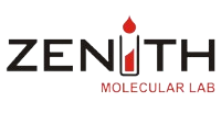 Zenith Molecular Lab